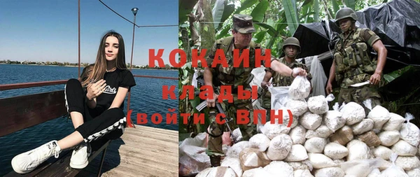 бошки Богданович