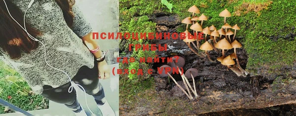 бошки Богданович