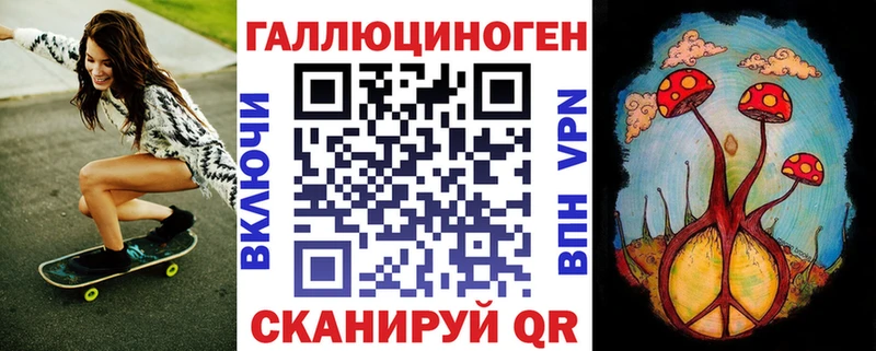 Псилоцибиновые грибы Psilocybine cubensis  Южноуральск 