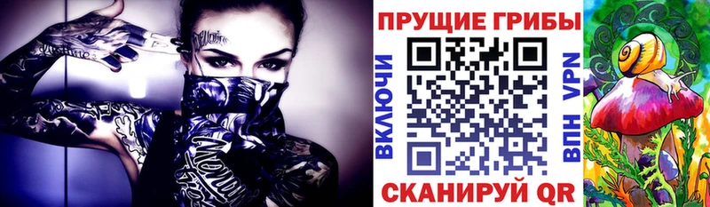 Галлюциногенные грибы GOLDEN TEACHER Южноуральск
